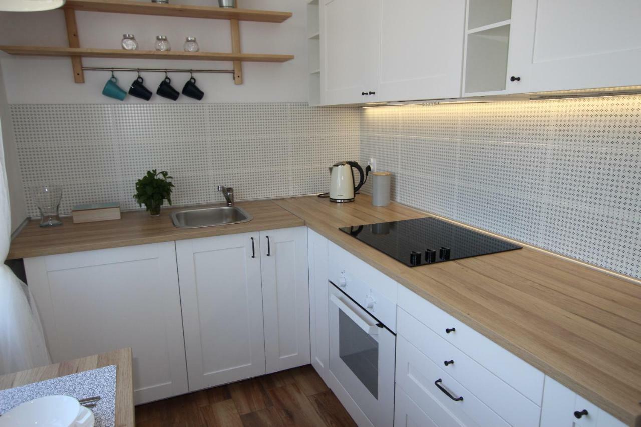 Mlynska2 Appartement Bielsko-Biała Buitenkant foto
